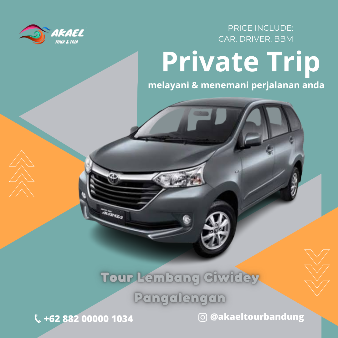 Avanza 550k max 6 org
